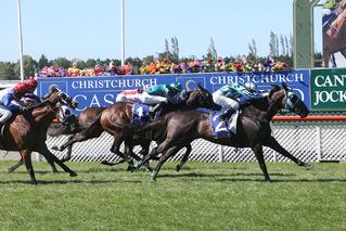 Dual Karaka Graduate Maybe Miami (NZ) Wins Timaru Stakes. Photo: Race Images South.